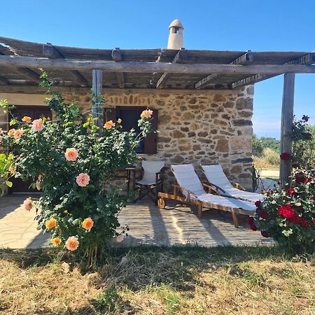 Вілла The Stone House Potamos  Екстер'єр фото